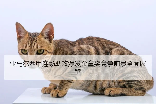 亚马尔西甲连场助攻爆发金童奖竞争前景全面展望